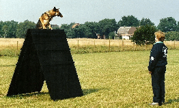 Duitse Herder kennel