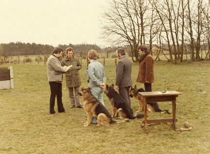 VH wedstrijd D.M.B. Zonhoven